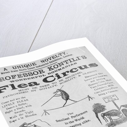 Advertisement For Flea Circus by Anonymous