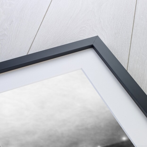 Paddlewheeler on the Mississippi by Anonymous