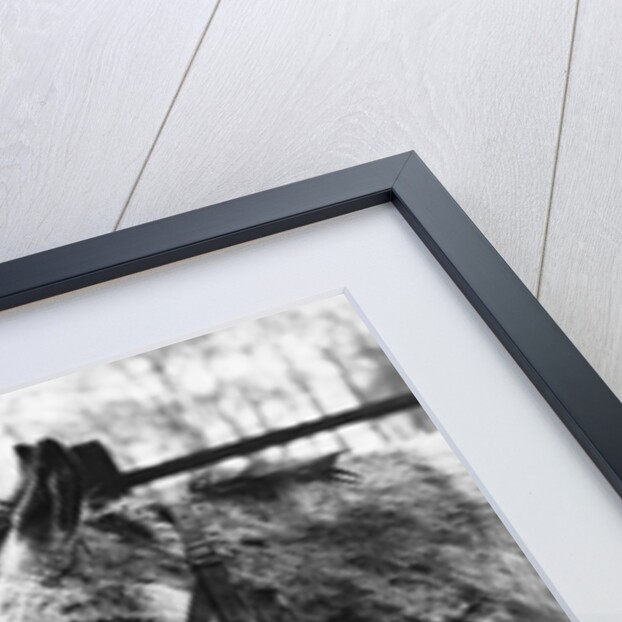 A Pet Cemetery by Anonymous