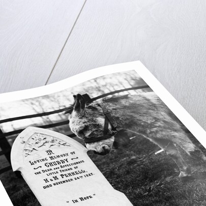 A Pet Cemetery by Anonymous