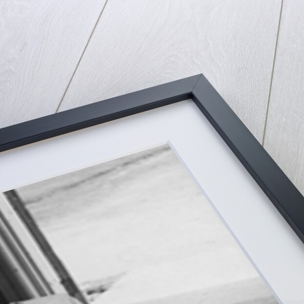 Cat Pays Final Respects by Anonymous