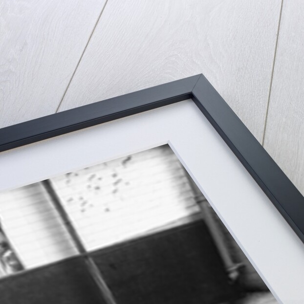 Beagle at Battersea Dog's Home by Anonymous