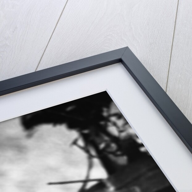 A Tired Cat by Anonymous