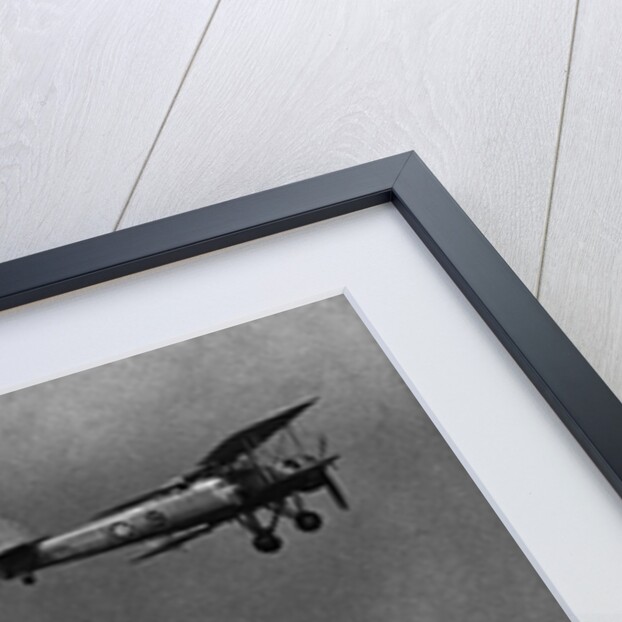 A Flying "Fish" by Anonymous