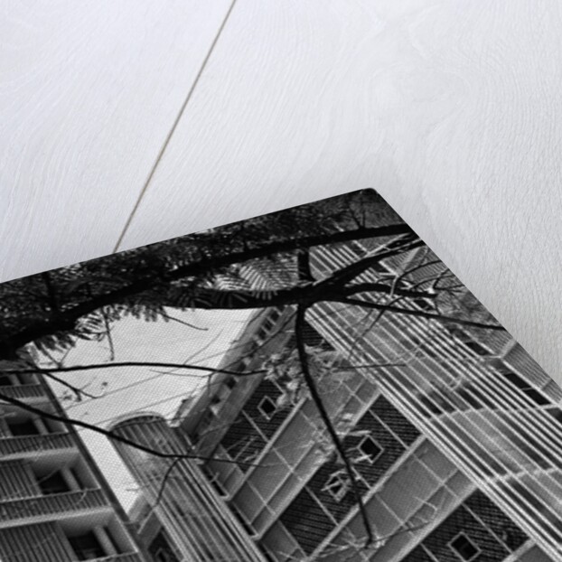 Apartment Buildings by Anonymous
