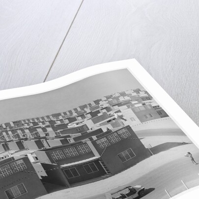 Rows of Houses by Anonymous