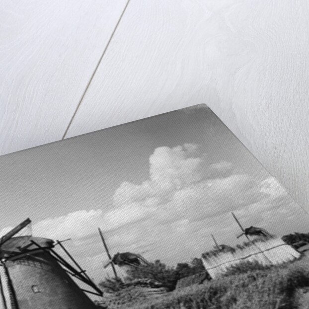 Canalside Windmills by Anonymous