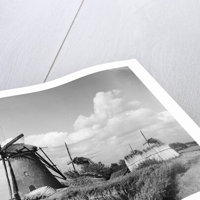Canalside Windmills by Anonymous