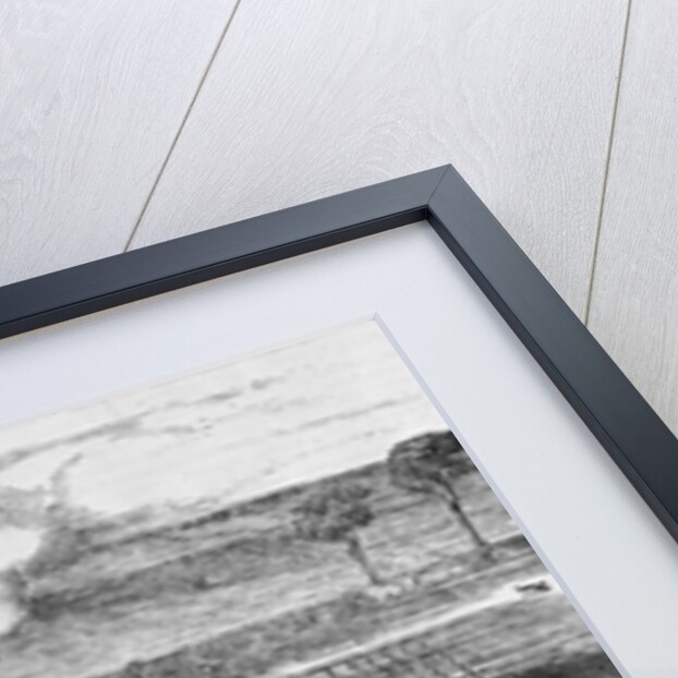 Illustration of Steam Engine Ploughing a Field at Grimsthorpe by Anonymous