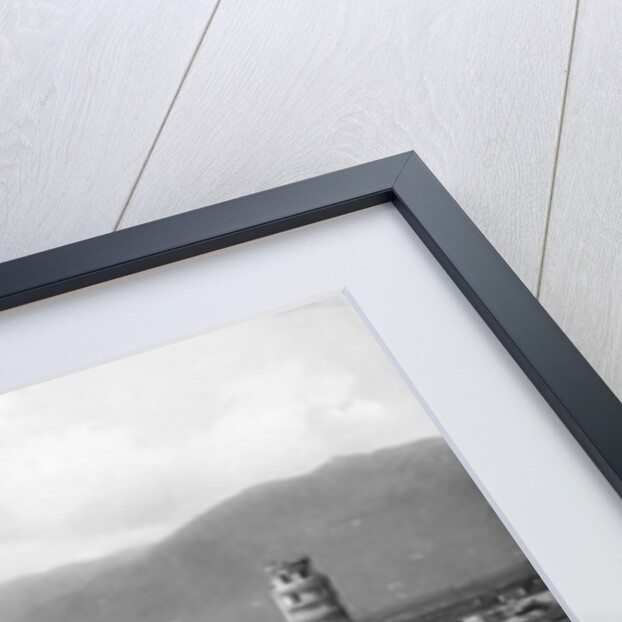 Rooftop View of Pisa by Anonymous