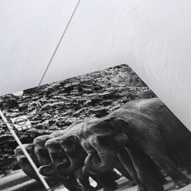 Elephants Queue at Battersea Park Bus Stop by Anonymous