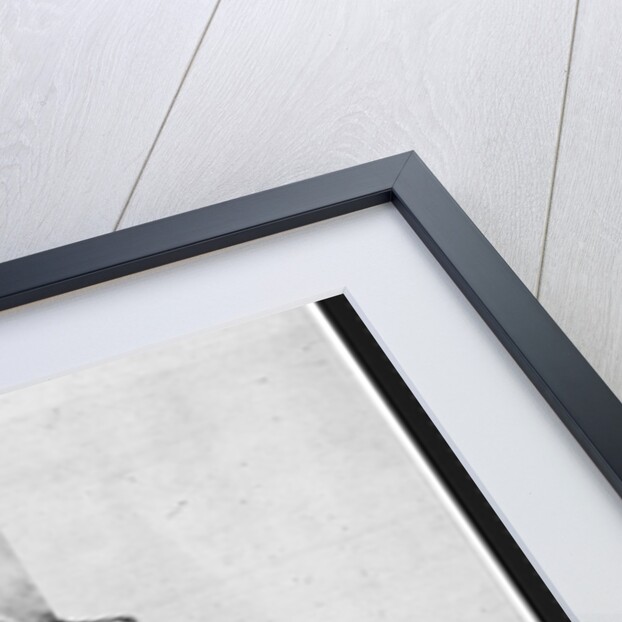 Mobile Darkroom at Crimean War by Anonymous