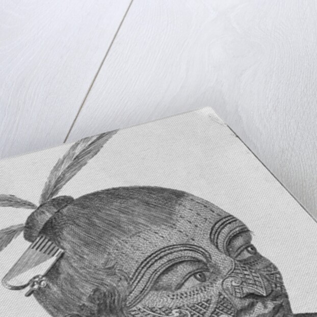 Engraving of a Maori Chieftain by Anonymous