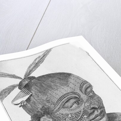 Engraving of a Maori Chieftain by Anonymous