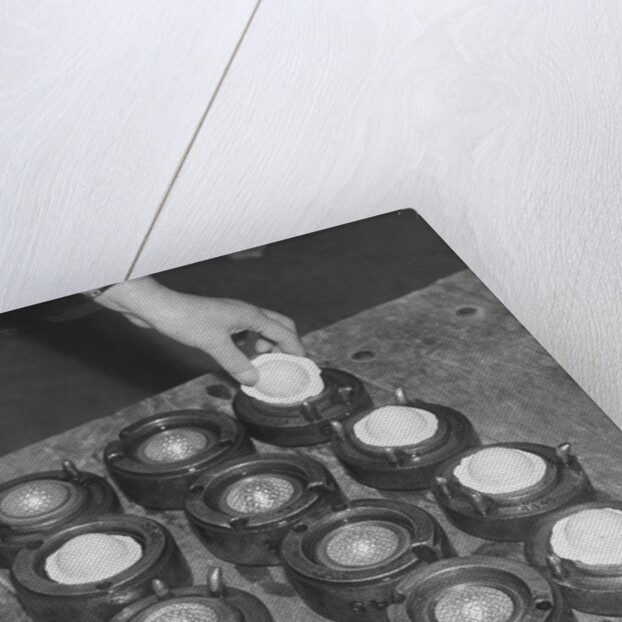 Golf Balls in Molds by Anonymous