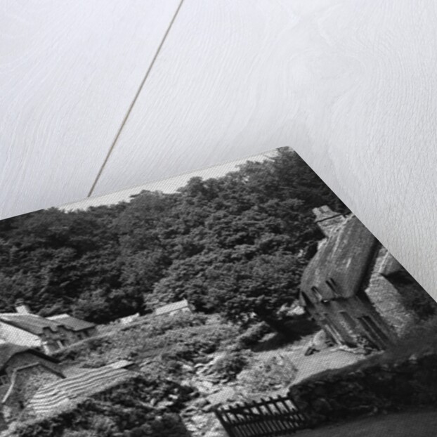 Thatched Cottages in Buckland-in-the Moor by Anonymous