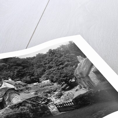 Thatched Cottages in Buckland-in-the Moor by Anonymous