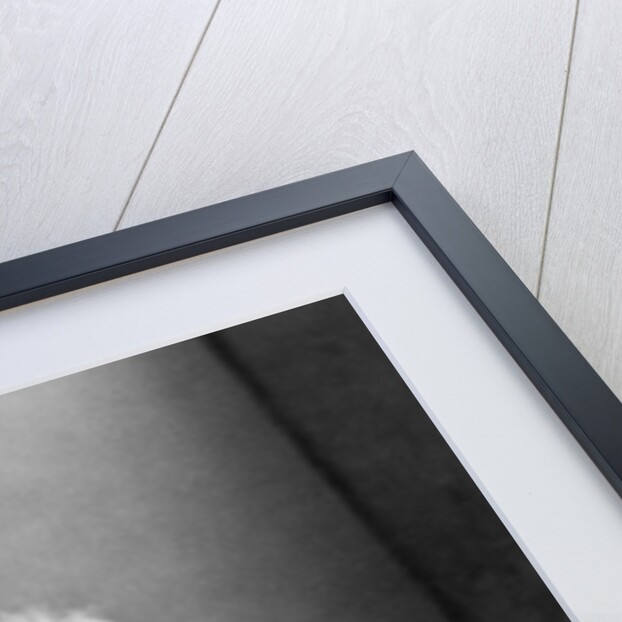 Frederick Denison Maurice by Anonymous