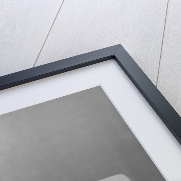 Space Cats in Training by Anonymous