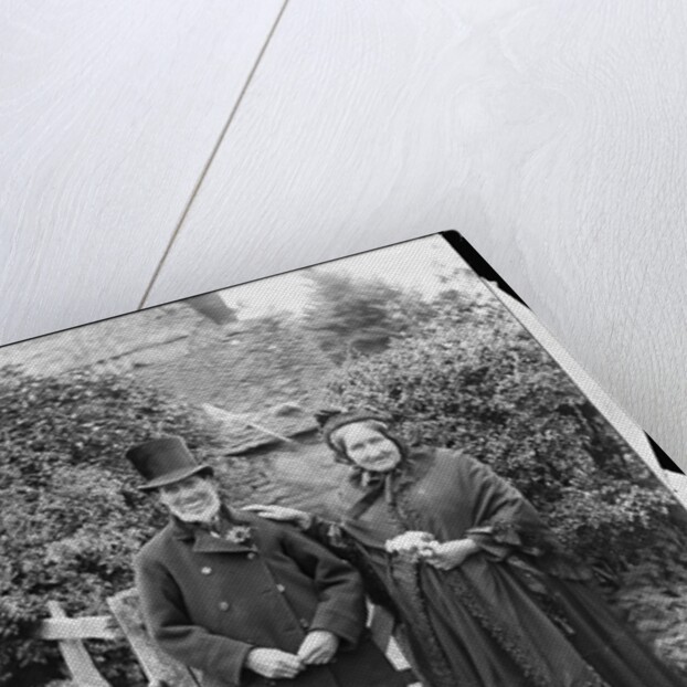 Elderly Couple Standing by Fence by Anonymous