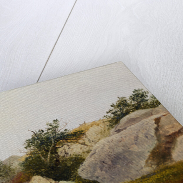 Rocky Landscape by John Frederick Kensett