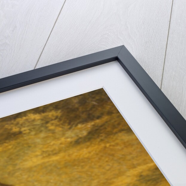 Moonlight Sail by Albert Pinkham Ryder