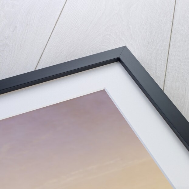 Crossing the Ford, Platte River, Colorado by Thomas Worthington Whittredge