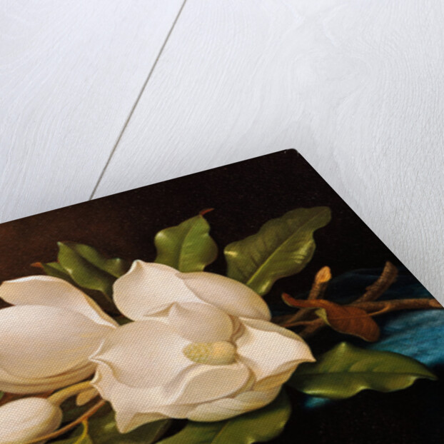 Giant Magnolias on Blue Cloth by Martin Johnson Heade