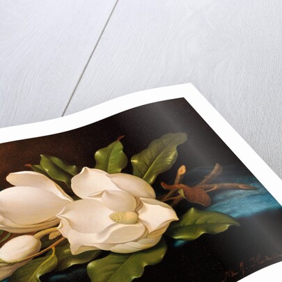 Giant Magnolias on Blue Cloth by Martin Johnson Heade