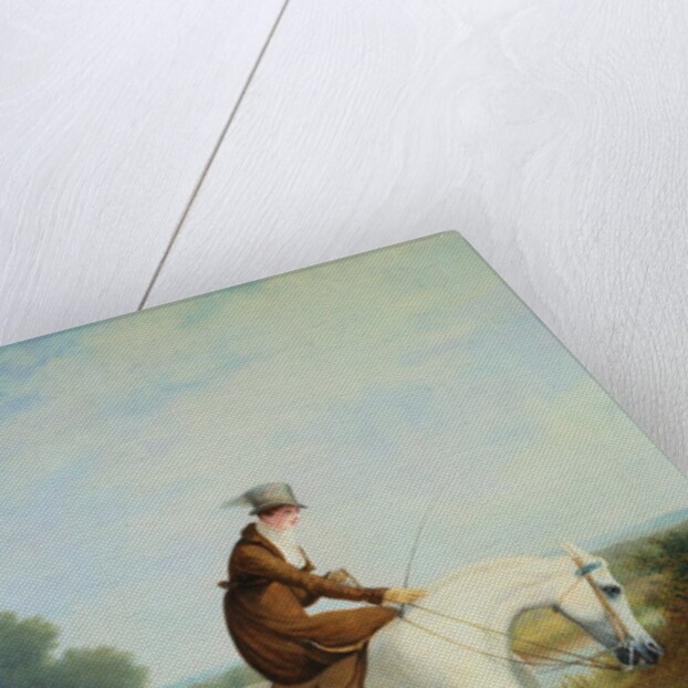 Miss Cazenove on a Gray Hunter by Jacques Laurent Agasse