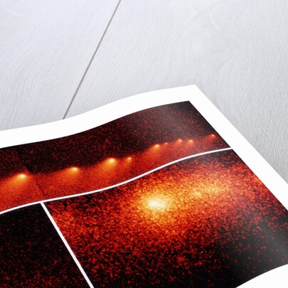 Hubble Telescope Comparison Photographs of Comet by Anonymous