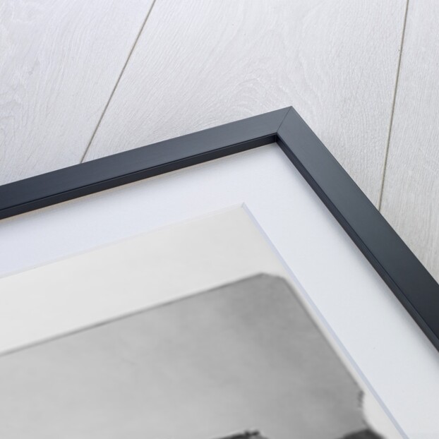 Metropolitan Museum of Art by Anonymous