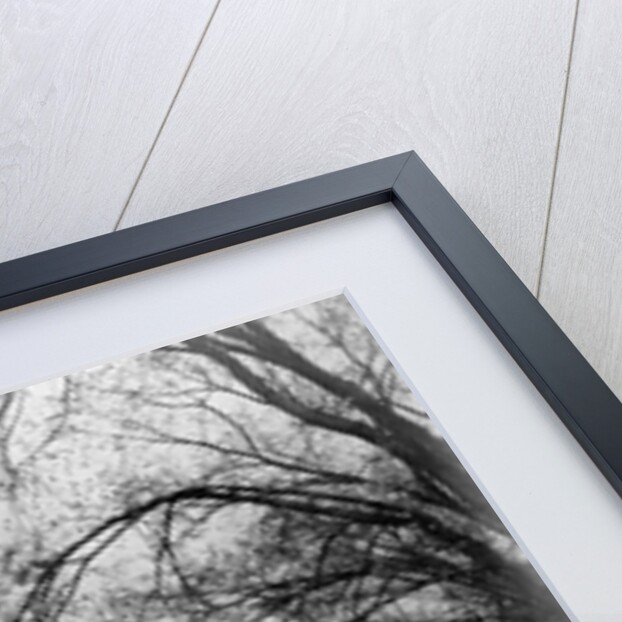 St. John's Episcopal Church in Washington, DC by Anonymous