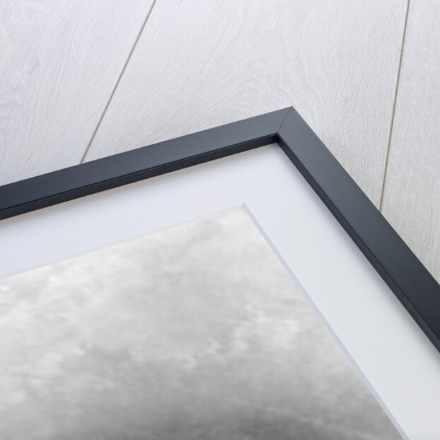 U. S. Capitol in Washington D. C. by Anonymous