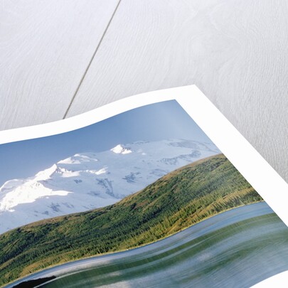 Mount McKinley and Feeding Moose by Anonymous