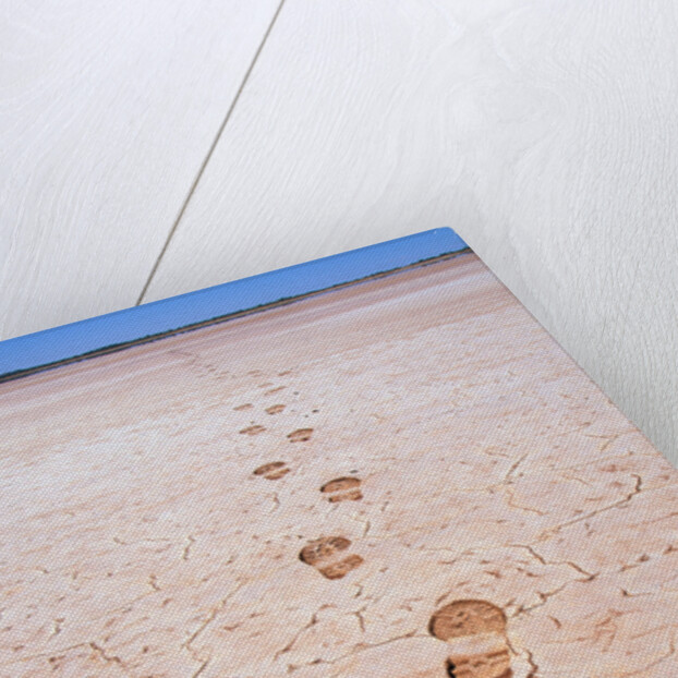 Bootprints Along Australian Outback by Anonymous