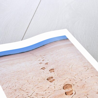 Bootprints Along Australian Outback by Anonymous