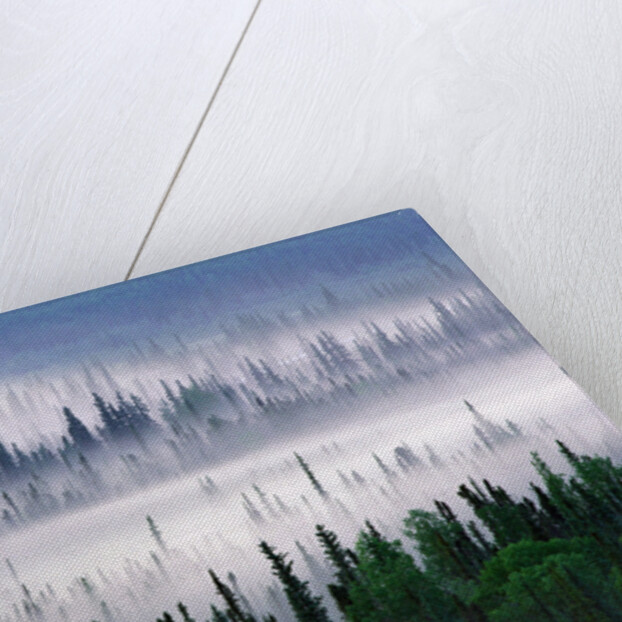 Misty Forest near Mount Brooks by Anonymous