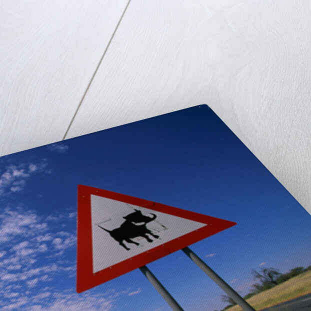 Warthog Crossing Sign by Anonymous