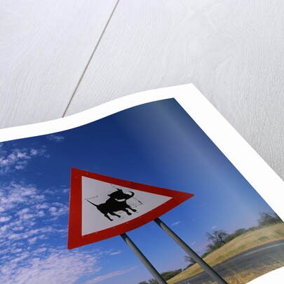 Warthog Crossing Sign by Anonymous
