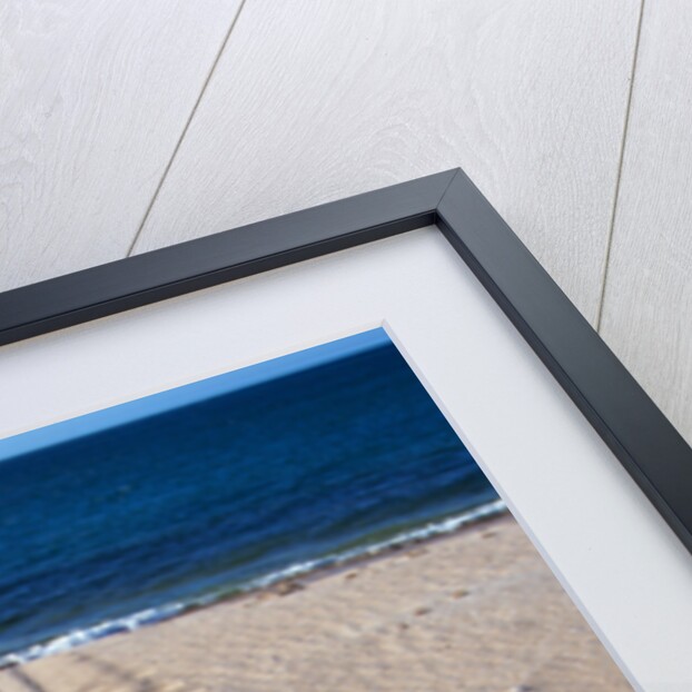 Giant Turtle Tracks in the Sand by Anonymous