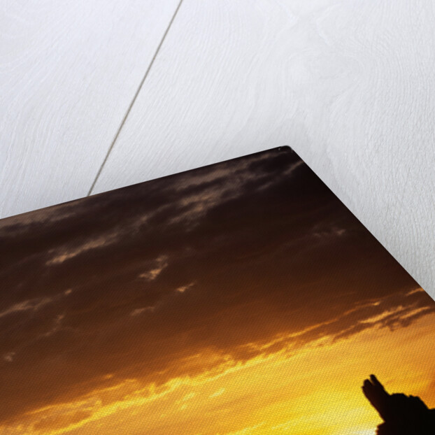 Sandstone Formations at Sunrise by Anonymous