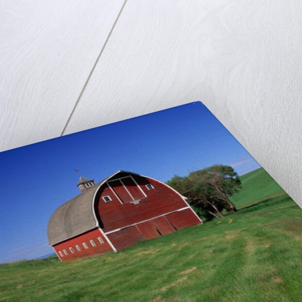 Big Red Barn by Anonymous