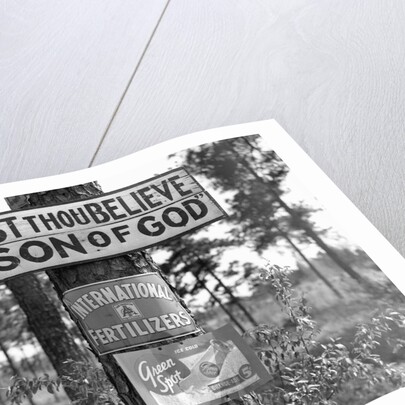 Signs along Highway by Anonymous