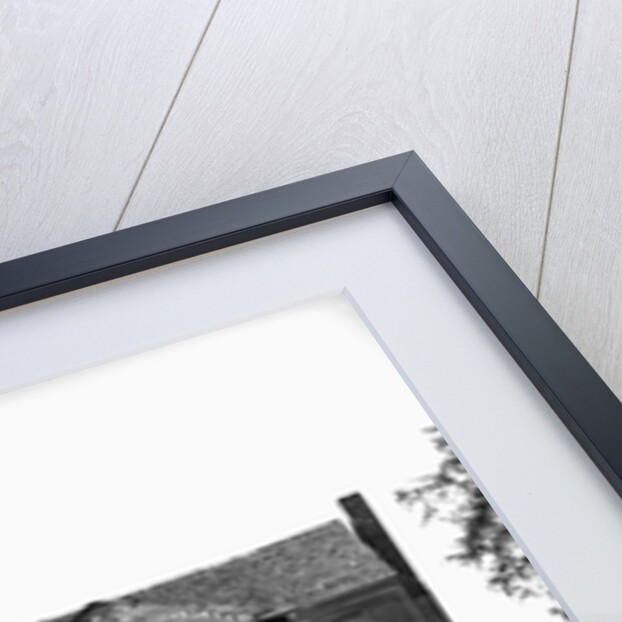 Abandoned Plantation Home by Anonymous