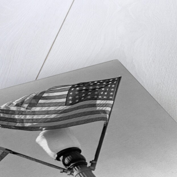 Flags on Lightpost by Anonymous