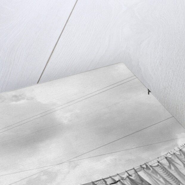 Laundry Drying on Clotheslines by Anonymous