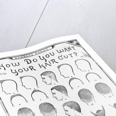 How Do You Want Your Hair Cut? by A. J. Cole