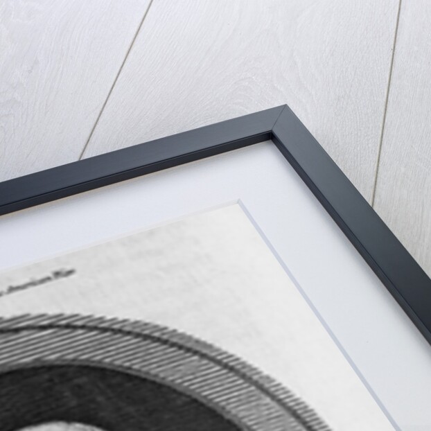 Portrait of John Hancock by Anonymous