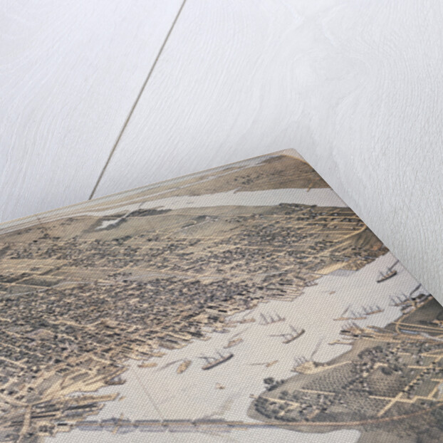 Bird's Eye View of Jacksonville by Anonymous